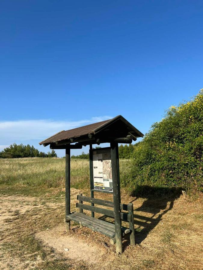 ポリフロノPolystylohillアパートメント エクステリア 写真